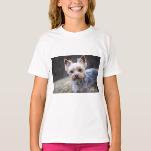 Camiseta Yorkshire terrier, perro, Mascota