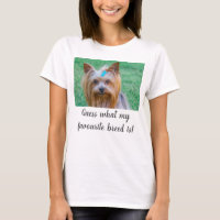 Yorkshire Terrier Yorkie adivina raza favorita