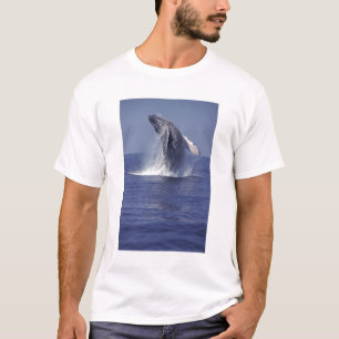 Camiseta Yubarta saltando (Megaptera