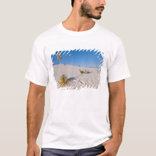 Camiseta Yucca de jabón, sombra larga, dunas transversales