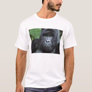 Camiseta Zaire, Parque Nacional Virungas. Retrato de