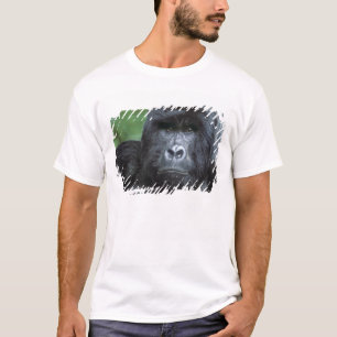 Camiseta Zaire, Parque Nacional Virungas. Retrato de