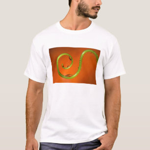 Camiseta Zarcillo de vid con agua, California