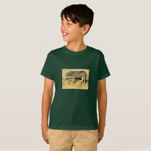 Camiseta Zebra