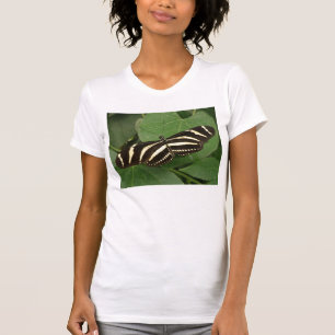 Camiseta Zebra Longwing Butterfly T Shirt