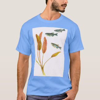 Camiseta Zebrafish Brachydanio rerio