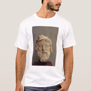 Camiseta Zeus, ANUNCIO 69-96