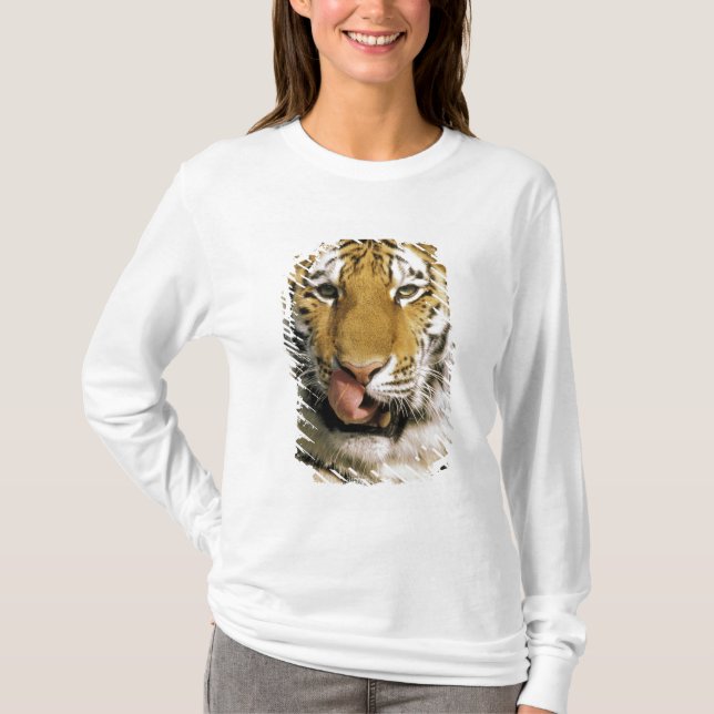 Camiseta Zoológico de Tiger Michigan (Anverso)