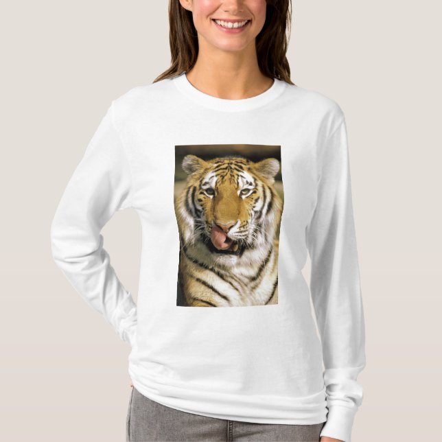 Camiseta Zoológico de Tiger Michigan (Anverso)