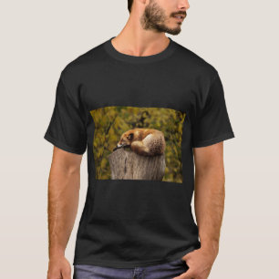 Camiseta Zorro dormido descansando con calma