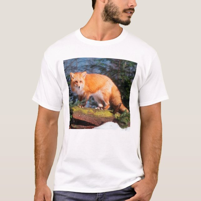 Camiseta Zorro Rojo en un tronco (Anverso)