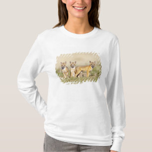 Camiseta Zorro veloz (Vulpes macrotis) joven en madriguera,