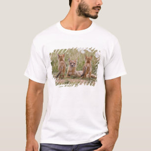 Camiseta Zorro veloz (Vulpes velox) hembra con crías en