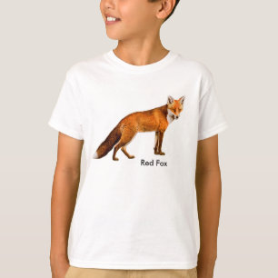 Camisetas