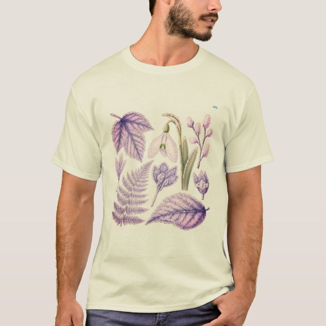Camisetas  (Anverso)
