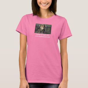 Camisetas