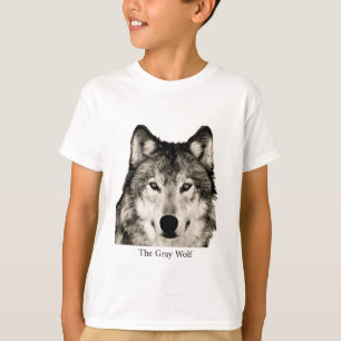 Camisetas