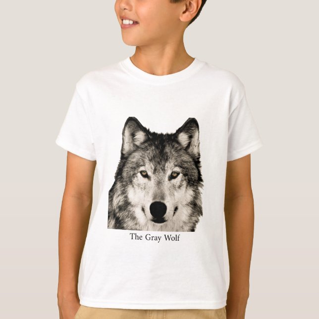 Camisetas (Anverso)