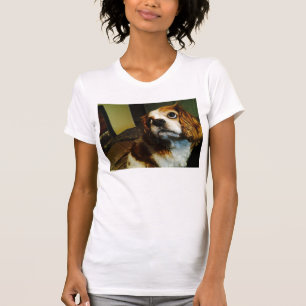 Camisetas arrogantes del perro de aguas de rey