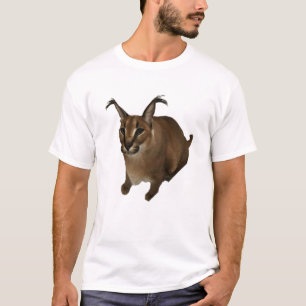 Camisetas Big Floppa