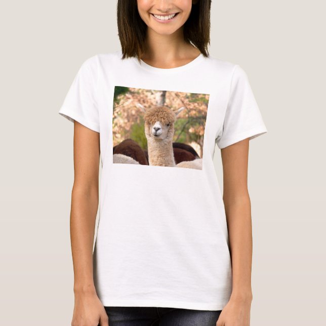Camisetas de la alpaca (Anverso)