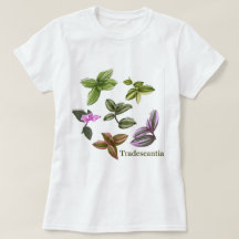 Camisetas de las plantas de Tradescantia