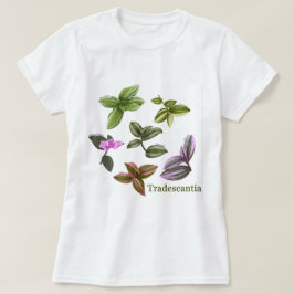 Camisetas de las plantas de Tradescantia