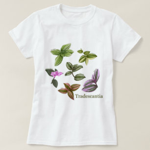 Camisetas de las plantas de Tradescantia