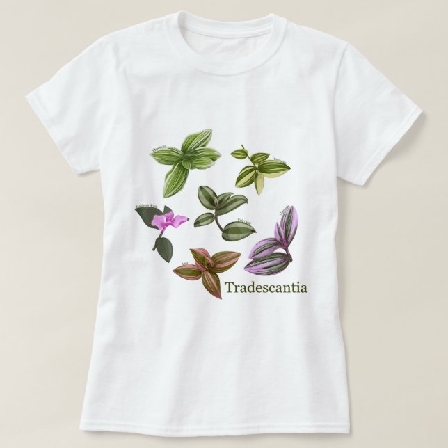 Camisetas de las plantas de Tradescantia (Diseño del anverso)