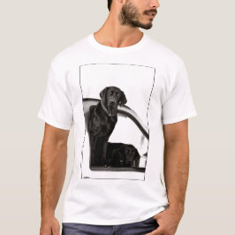 Camisetas de los hombres curiosos del Black Labs