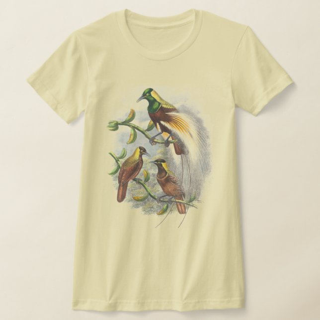 Camisetas de mujeres con pájaros (Distribución)