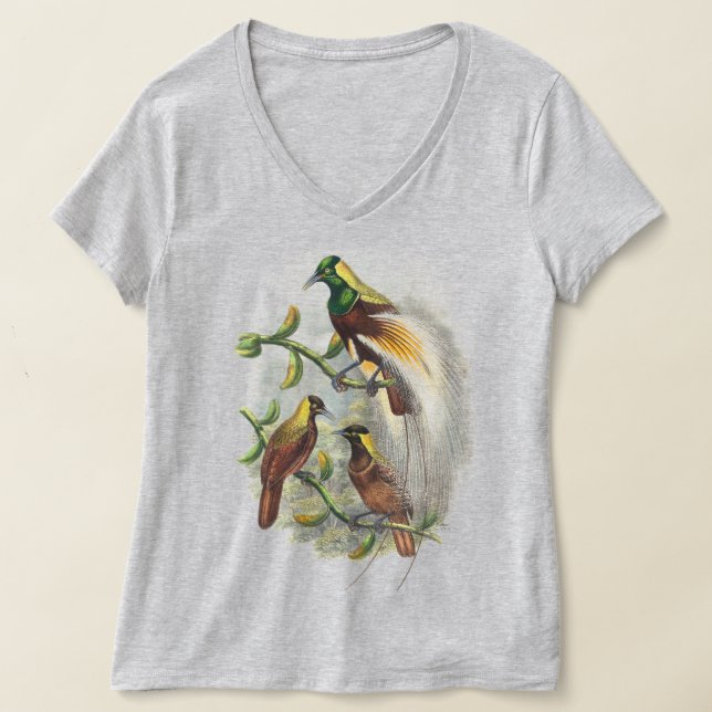 Camisetas de mujeres con pájaros (Distribución )