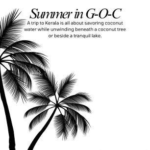 Camisetas de verano