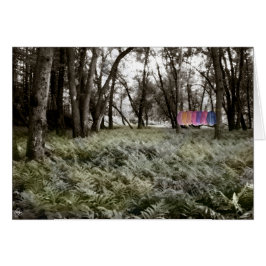 Camisetas en una carta forestal de planicie inunda