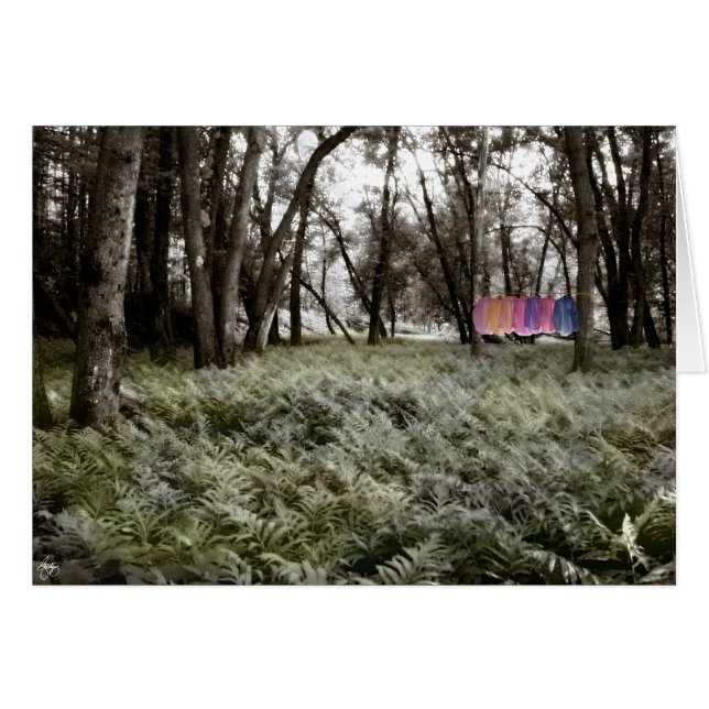 Camisetas en una carta forestal de planicie inunda (Anverso (Horizontal))