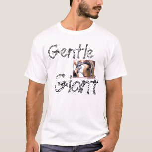 Camisetas gigantes apacibles