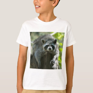 Camisetas Mapache
