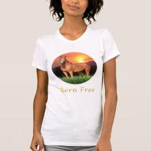 Camisetas para caballos