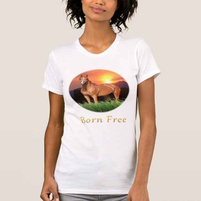 Camisetas para caballos (Anverso)
