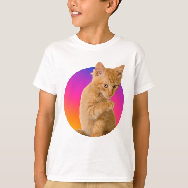Camisetas para gatos (Anverso)