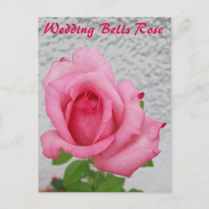Campanas de boda flor de rosa - tarjeta postal por