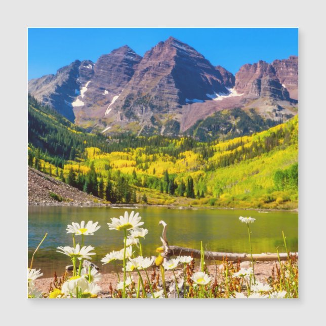 Campanas de cimarrones en Aspen, Colorado (Anverso)