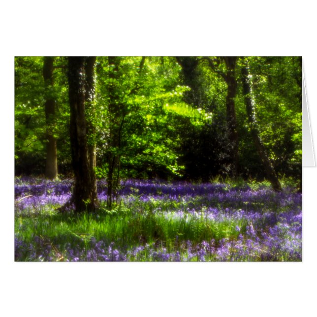 Campanillas azules de Chaddesley (Anverso (Horizontal))