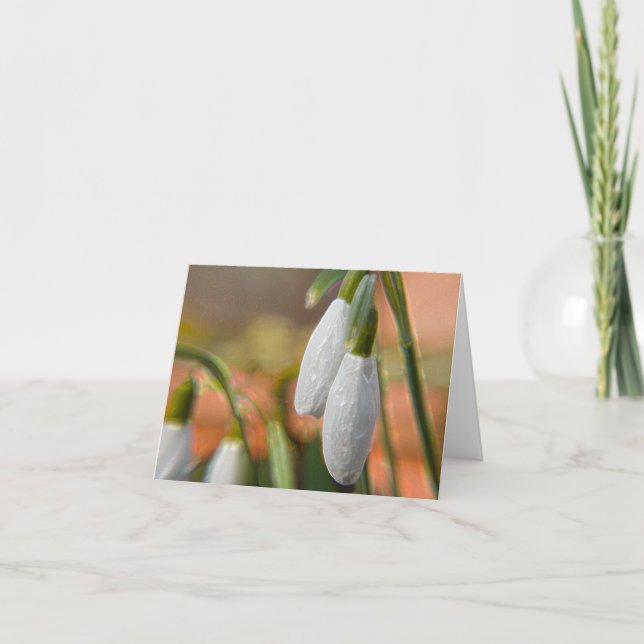 Campanillas de invierno en Tarjetas de Felicitació (Anverso)