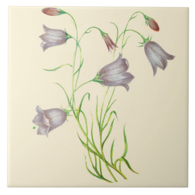 Campanula de cerámica de la teja de la cocina del (Frente)