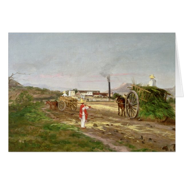 Campesinos que recogen la caña de azúcar (Anverso (Horizontal))