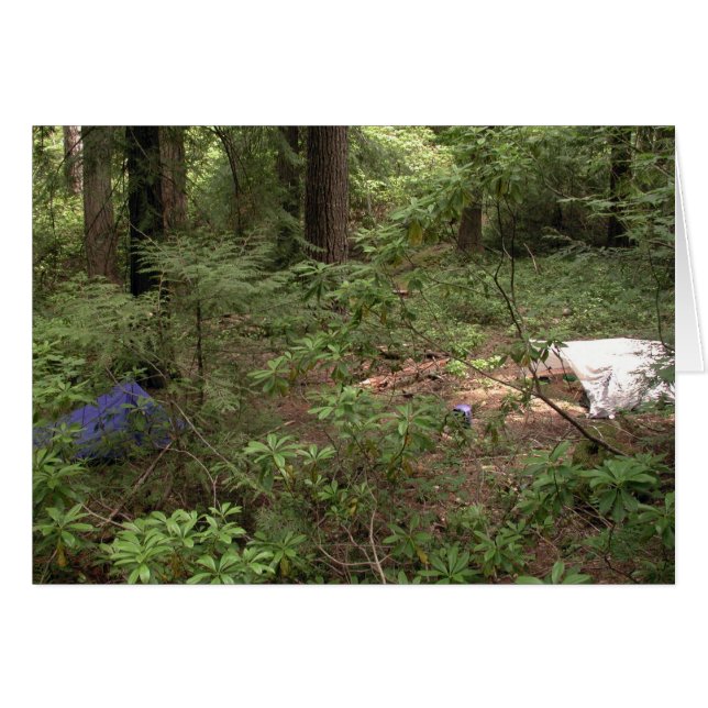 Camping de tiendas (Anverso (Horizontal))