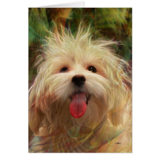 Campista contento (Frente)