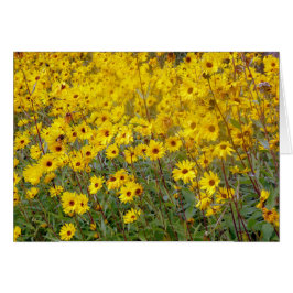 Campo Alegre De Flores Amarillas