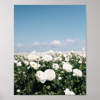 Campo blanco de flores - impresión de cartel